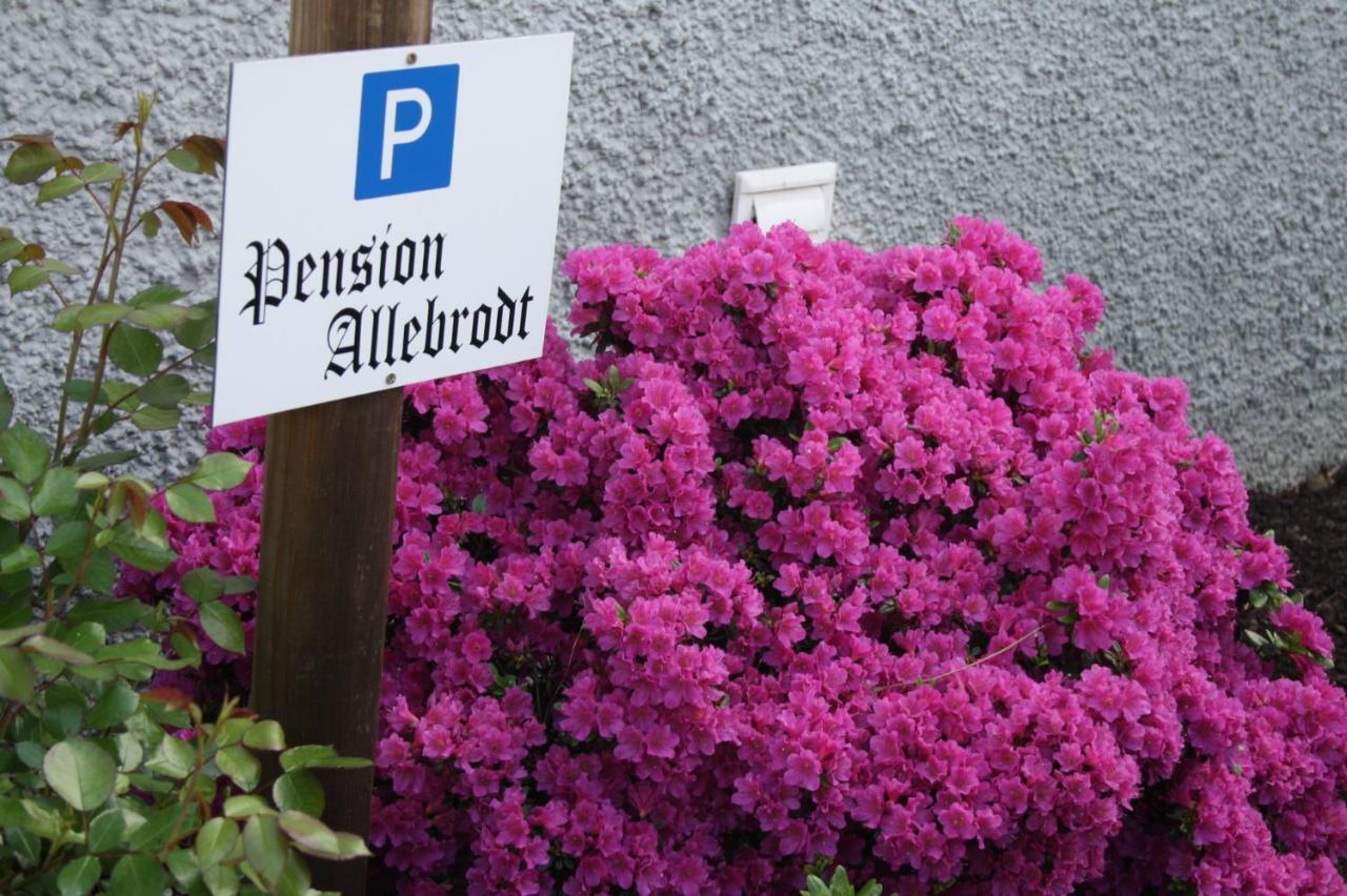 Pension / Ferienwohnung Allebrodt Lennestadt Εξωτερικό φωτογραφία