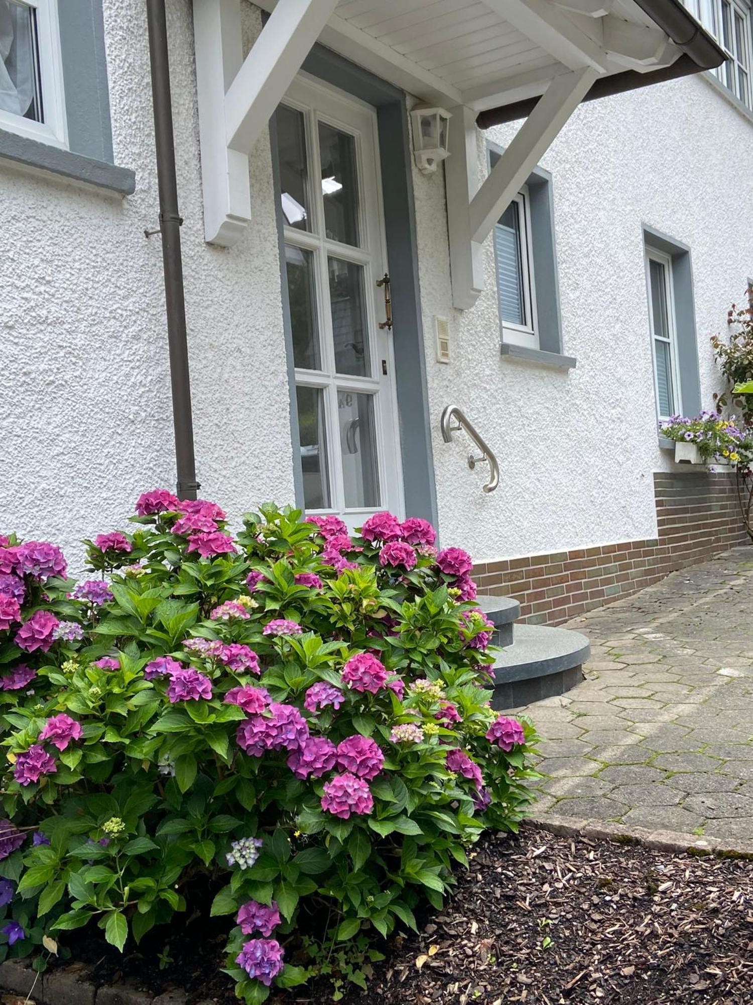 Pension / Ferienwohnung Allebrodt Lennestadt Εξωτερικό φωτογραφία